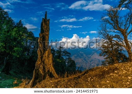 Mesmerizing view at Munsiyari, Uttarakhand, India. Royalty-Free Stock Photo #2414451971