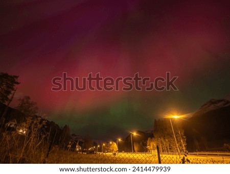 Colorful Northern lights (Aurora borealis) in the sky in Scandinavia