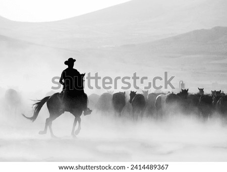 Horses accompanied by a cowboy in a dusty field, BW