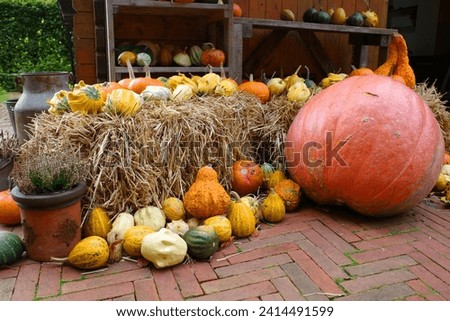 Sales stand of various types of pumpkins in Germany. 