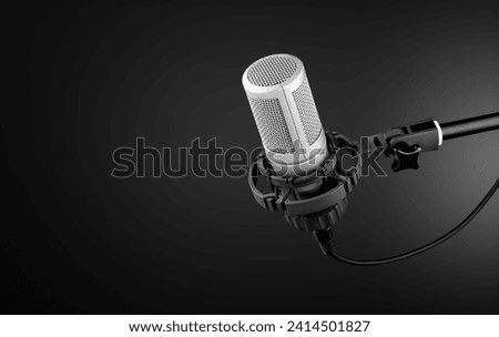 professional sound steel recording microphone