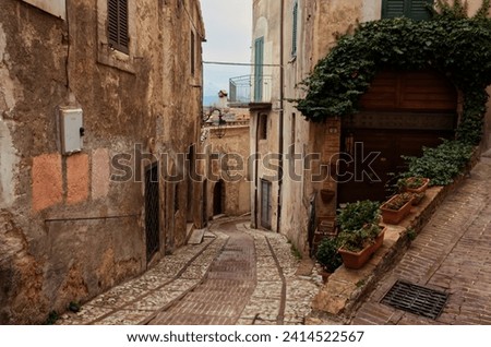 A characteristic alley in the medieval village of Trevi in ​​the province of Perugia, one of the most beautiful villages in Italy.