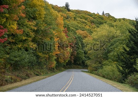  A Stunning view to the road of autumn