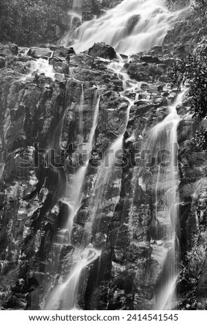 Mungalli Falls, Atherton Tablelands, North Queensland, Australia