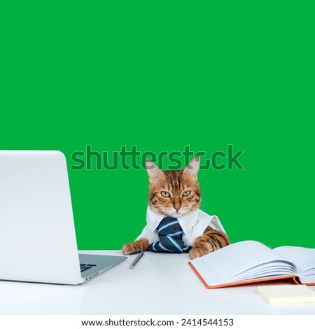 Adorable tabby kitten sitting on a multicolored wood floor looking at computer screen, one paw on keyboard. Miniature computer screen with green screen for your image green background.
