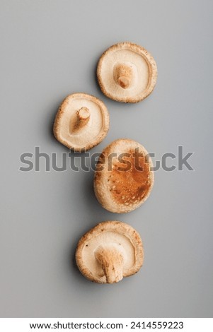 Fresh shiitake mushrooms on the gray background.Top view.