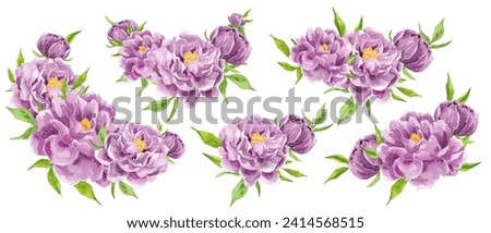 Set of watercolor drawn purple peonies. Spring flowers. Aroma. Texture. Nature. Decor for postcards. Wedding. Festive events. Compositions of peonies. Clip art. Air watercolor flowers.