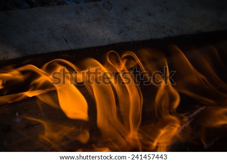 close-up of a bonfire in the night