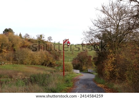 Autumn landscape, hiking trail, street, path,autumn, autumnal, background, fall