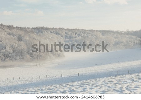 Fairy snowy forest in fog in beautiful winter at sunrise.