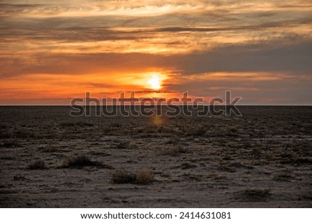 Wonderful sunset in the kyzylkum desert in uzbekistan,