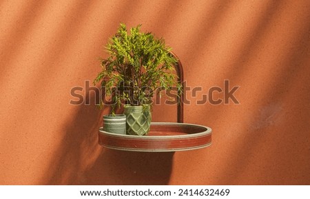 Elevate your product's appeal: Clean clay wall, suspended painted platter, green cup, ceramic vase with plants bask in radiant sunlight. Perfect for impactful product placement and storytelling. Royalty-Free Stock Photo #2414632469