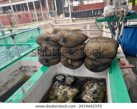 Fisherman's nets are wrapped as mechanical filter media for koi fish ponds