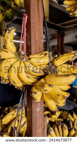 Photo of bananas hanging in the market.