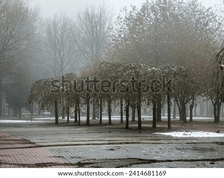 Fog in a city park. Sad autumn landscape. Fog means a change in weather.