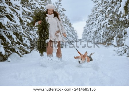 girl in winter clothes plays with Beagle dog in winter in the snow, winter holiday concept