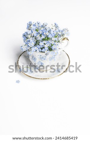 Forget-me-not flowers in small vintage antique porcelain tea cup decorated with forget-me-not blossoms isolated on white background, fresh forget me nots, copy space Royalty-Free Stock Photo #2414685419