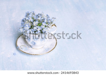 Forget-me-not flowers in small vintage antique porcelain tea cup decorated with forget-me-not blossoms isolated on light blue color background, fresh forget me nots, copy space Royalty-Free Stock Photo #2414693843