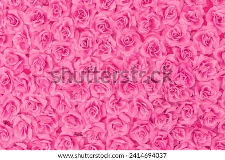 Pink roses background texture, nice concept