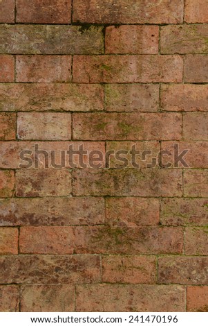 Old Bricks with Moss Background