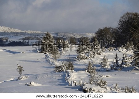 Countryside with a good layer of snow. Artense, Auvergne, France. Winter