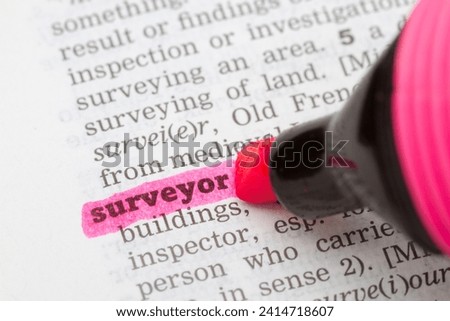 Dictionary definition of the word surveyor