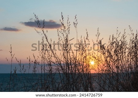 beautiful sunise on the beach. High quality photo