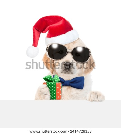 Cute Golden retriever puppy wearing sunglasses, red santa hat and tie bow looks above  empty white banner and holds gift box. isolated on white background