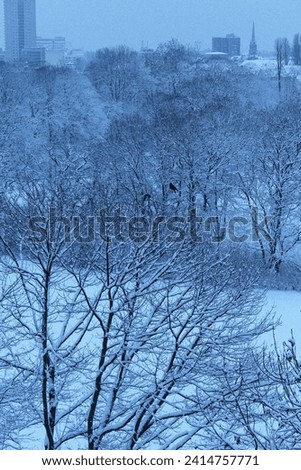 snow landscape covered in sow nature in snow park city tress 
