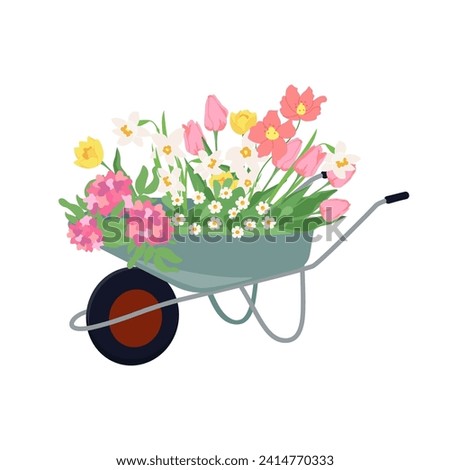 Flower garden cart with early spring flowers. Floral design elements for mother's day, Valentine's Day, birthday. Vector illustration wheelbarrow flat style isolated on white background. Royalty-Free Stock Photo #2414770333