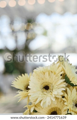 close up beautiful yellow gerbera flower on table, hello spring season, happy valentine’s day, wedding ceremony wallpaper background concept
