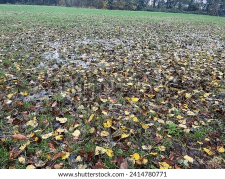 Rainy background and wet soil