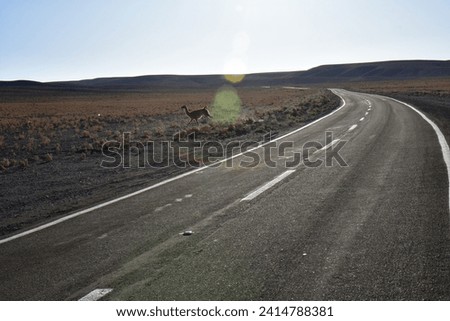 Lonely road curve desert bokeh chile South America. High quality photo Royalty-Free Stock Photo #2414788381