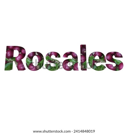 Rosales natural pink fruit and leaves text isolated on white background.