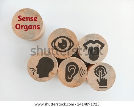 Wooden with five Sense organs icons namely sight, hearing, smell, teste and touch. basic 5 human senses