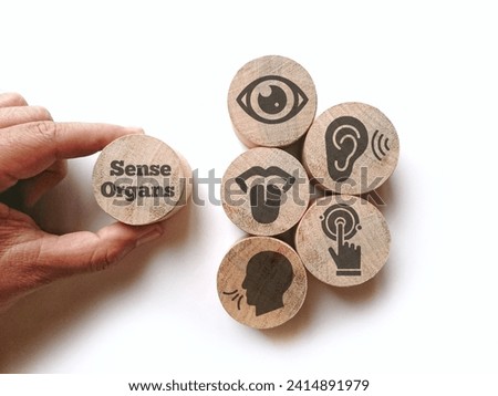 Wooden with five Sense organs icons namely sight, hearing, smell, teste and touch. basic 5 human senses Royalty-Free Stock Photo #2414891979