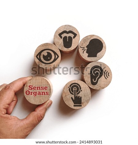 Wooden with five Sense organs icons namely sight, hearing, smell, teste and touch. basic 5 human senses Royalty-Free Stock Photo #2414893031