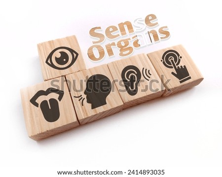 Wooden with five Sense organs icons namely sight, hearing, smell, teste and touch. basic 5 human senses Royalty-Free Stock Photo #2414893035