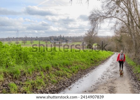 Dirt path between bare trees and farmland, mature woman walking with her dachshund dog, farms against cloudy sky in misty background, day in Alden Biesen nature reserve, Bilzen, Limburg, Belgium Royalty-Free Stock Photo #2414907839