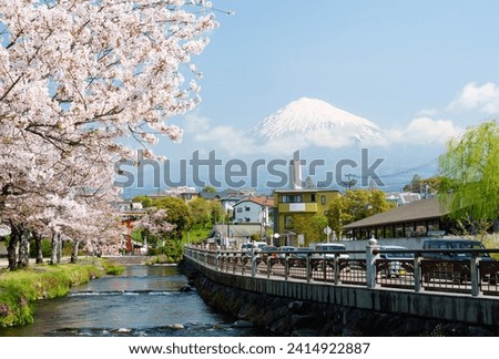 Fujinomiya city landscape view of Fuji mountain againt cloudy blue sky with cherry blossoms foreground. Famous travel destination at Fujisan Hongu Sengen Taisha. Shizuoka, Japan Royalty-Free Stock Photo #2414922887