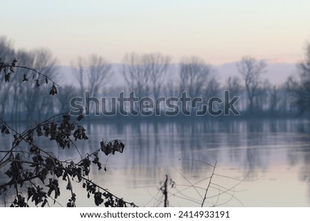 Amazing dawn scene, at the riverside Tisza.