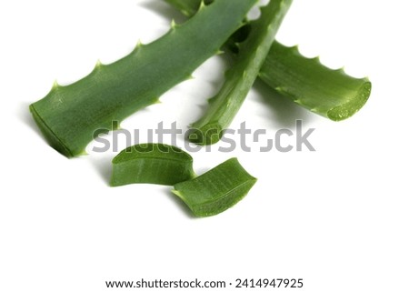 Several pieces of aloe leaves lie on a white background. Royalty-Free Stock Photo #2414947925