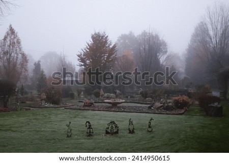 beautiful landscaped yard with mist in season