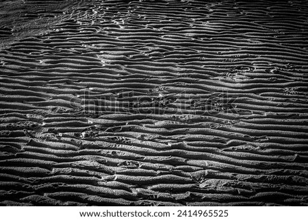 
Wavy mud in the Wadden Sea at low tide in a black and white photograph