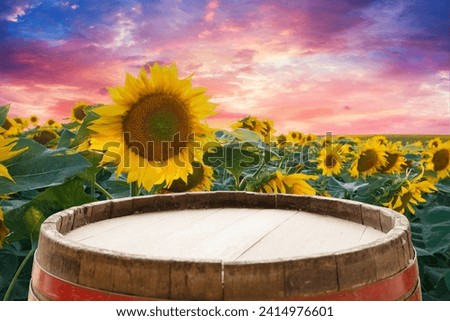 sunflower seeds in sack. Sunflower seeds in burlap bag on wooden table with field of sunflower on the background. Sunflower field with blue sky. Photo with copy space area for a text. High quality