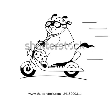The bear in the helmet and glasses on the motorcycle
