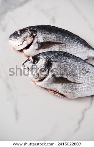 Two raw and fresh dorado fish on white marble background. Minimalistic food photo. Mediterranean diet. Top view, copyspace
