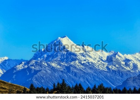 Majestic snow capped mount Cook peak in New Zealand above pine trees forest under blue sky.