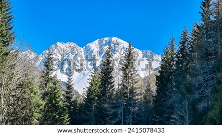 Scenic view of snow capped mountain peak Hochstuhl (Stol) seen from Bärental in Karwanks, Carinthia, Austria. Remote alpine landscape in springtime in Austrian Alps, Europe. Idyllic trail in forest Royalty-Free Stock Photo #2415078433