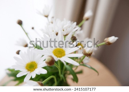Spring flowers on wooden table. beautiful floral image background. Seasonal flower interior.